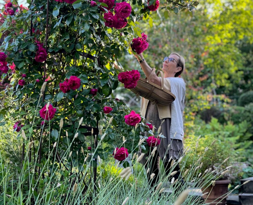 Rosworkshop i Känn trädgården i Askim