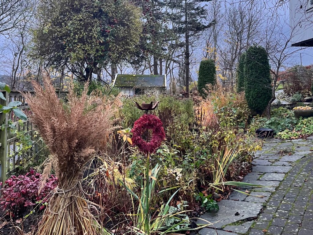 Perennrabatt i november Känn trädgården Askim