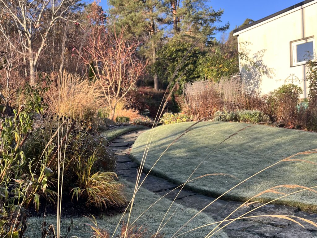 Stark design gräskanter Känn trädgården Askim