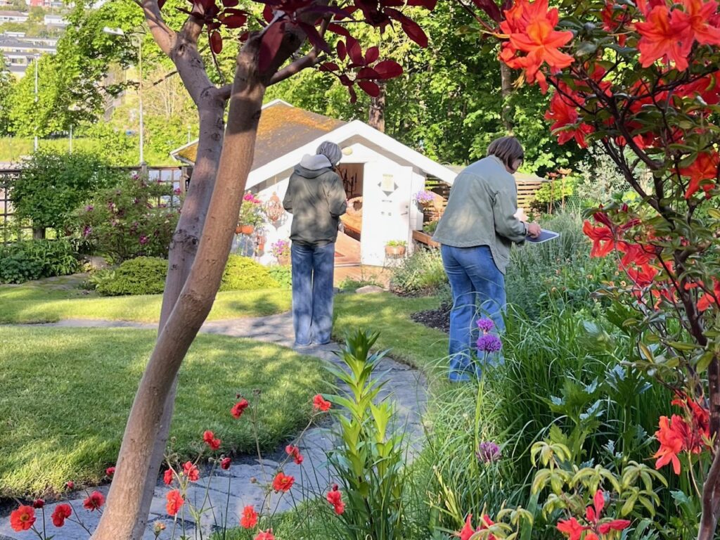 Mäta färg_kreativ aktivitet hos Känn trädgården