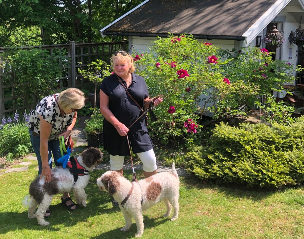 Hundar är välkomna till Känn trädgården i Askim Göteborg