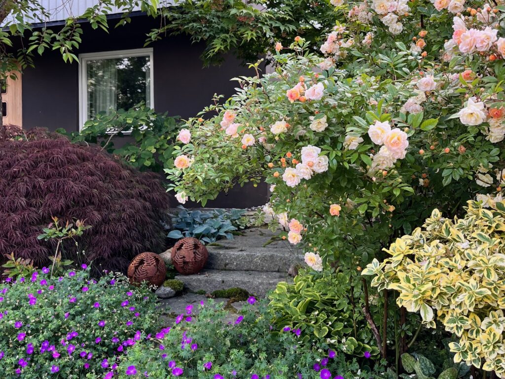 Visit the Känn trädgården The sensory garden